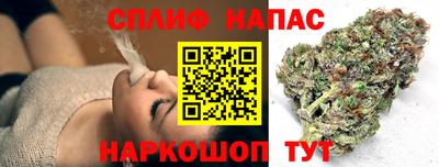 МДПВ Сланцы