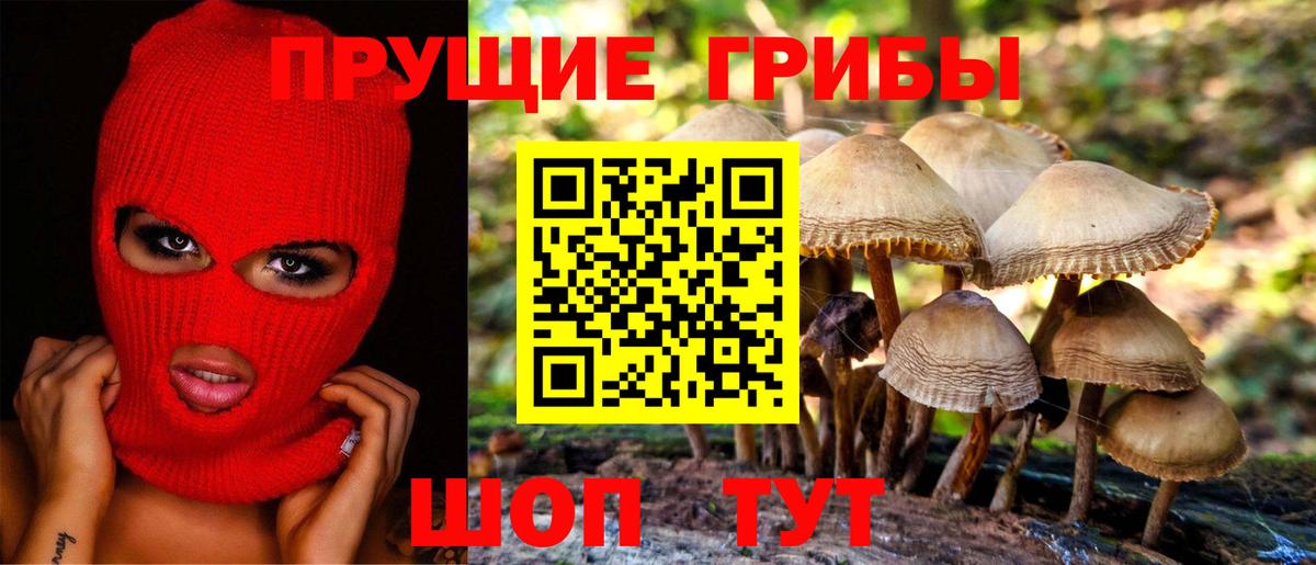 Псилоцибиновые грибы Psilocybine cubensis Орск