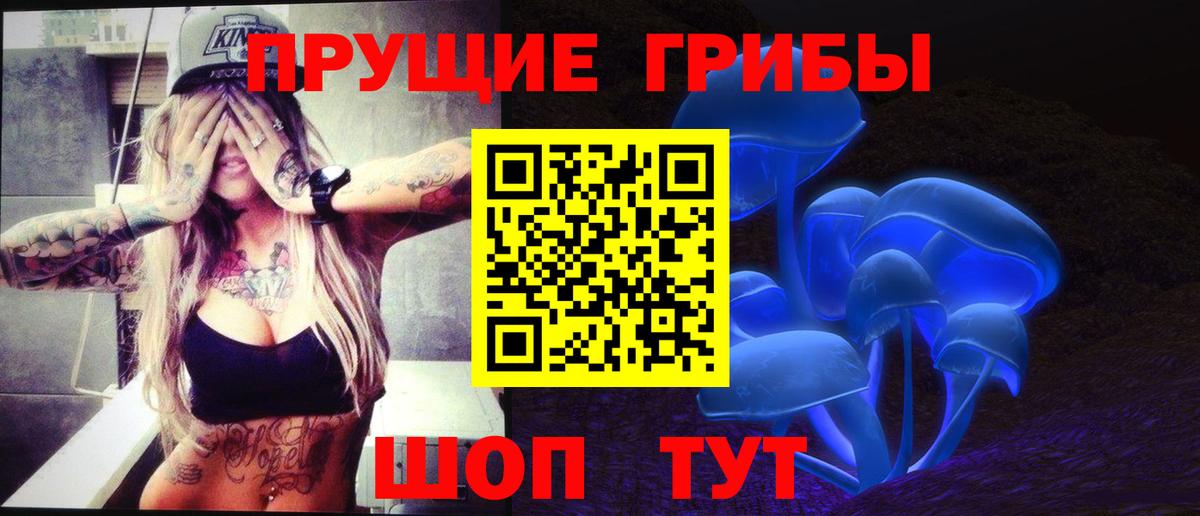 Псилоцибиновые грибы Cubensis  даркнет сайт  Орск  Вход с VPN 